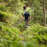 Mountainbike Rennrad Touren - die schönsten Radtouren und Regionen in Österreich - Radurlaub Urlaubsregionen Österreich