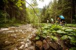 Mountainbike Rennrad Touren - die schönsten Radtouren und Regionen in Österreich - Radurlaub Urlaubsregionen Österreich