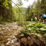 Mountainbike Rennrad Touren - die schönsten Radtouren und Regionen in Österreich - Radurlaub Urlaubsregionen Österreich