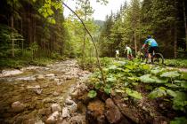 Mountainbike Rennrad Touren - die schönsten Radtouren und Regionen in Österreich - Radurlaub Urlaubsregionen Österreich