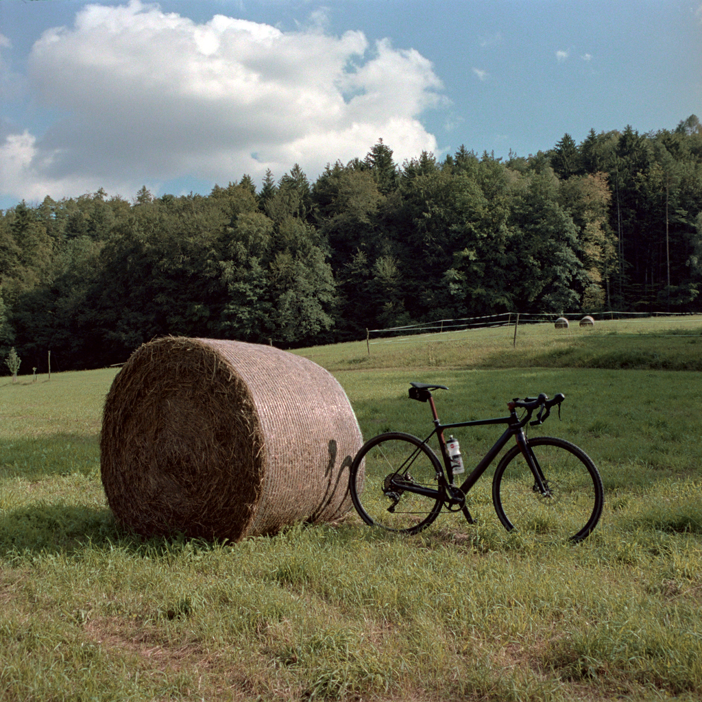 Führe mich zum Schotter": das Gravel/Anyroad/Querfeldein Projekt - Seite  477 - Gravel, Anyroad & Cyclocross - Bikeboard